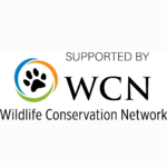 wcn logo1