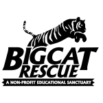 BCR