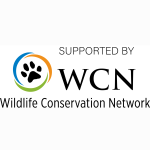 WCN logo1